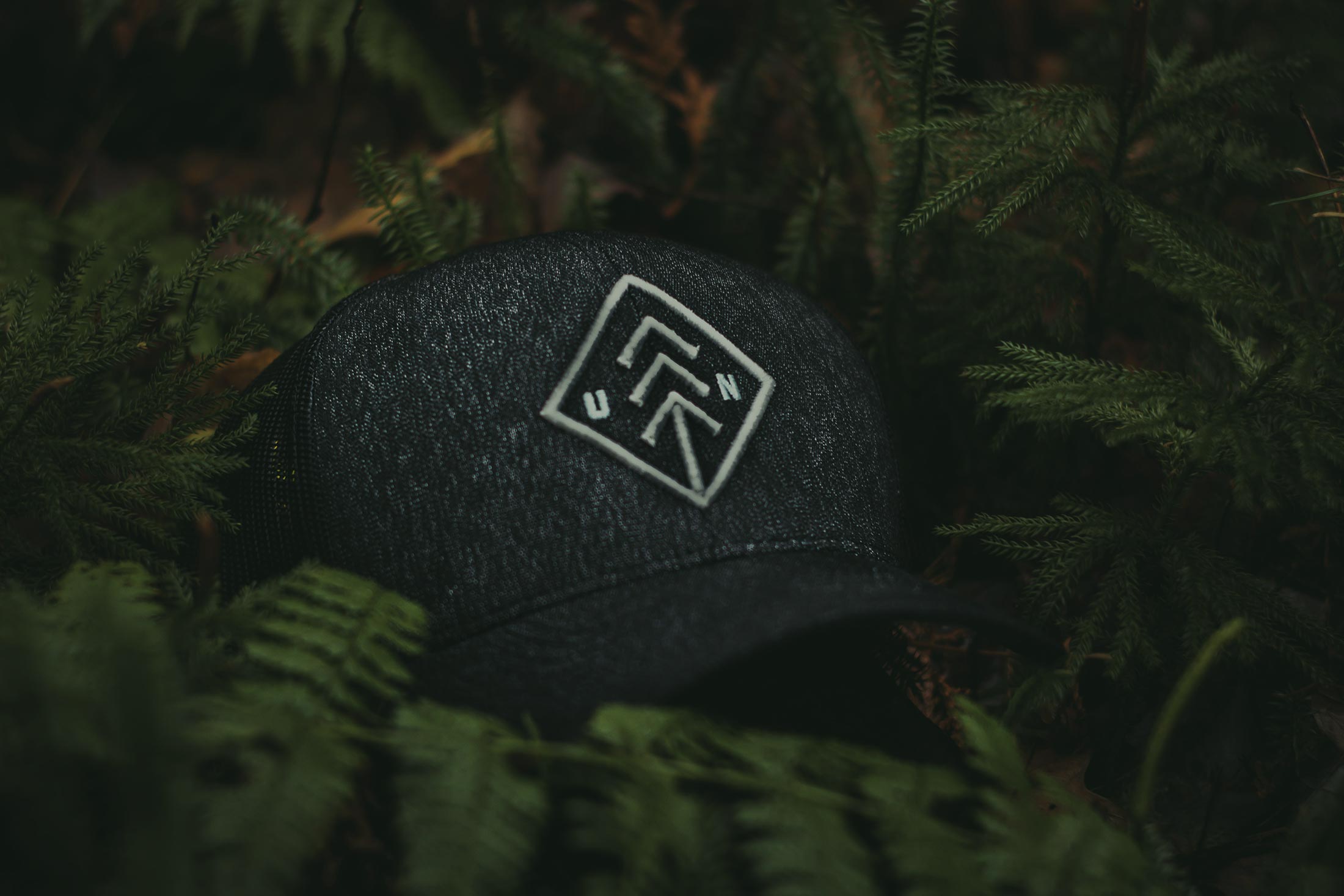 قواعد عامة للنشر